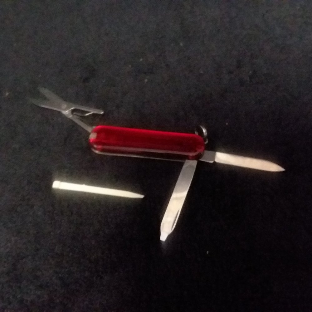 Victorinox Swiss Army Keychain